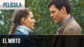 hqdefault-6-407×229